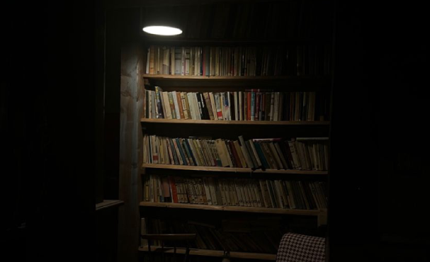 La precariedad en la industria intelectual